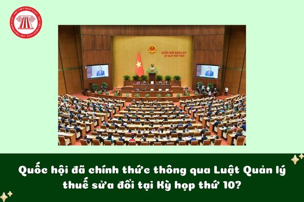 Pháp luật