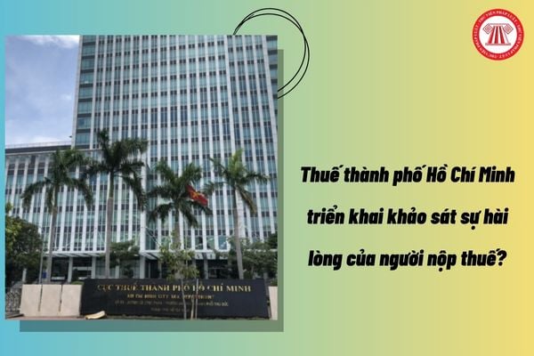 Thuế thành phố Hồ Chí Minh triển khai khảo sát sự hài lòng của người nộp thuế?