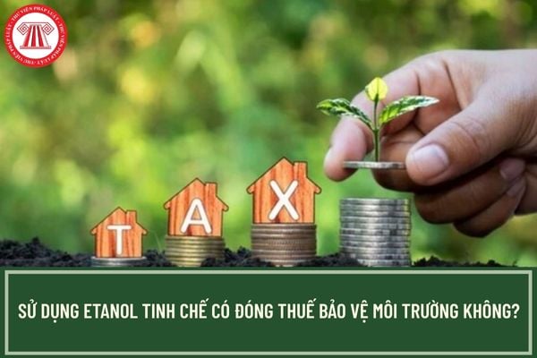 Sử dụng etanol tinh chế có đóng thuế bảo vệ môi trường không? 