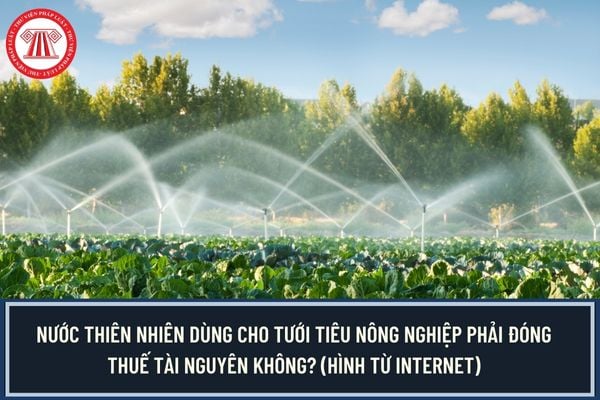 Nước thiên nhiên dùng cho tưới tiêu nông nghiệp phải đóng thuế tài nguyên không?