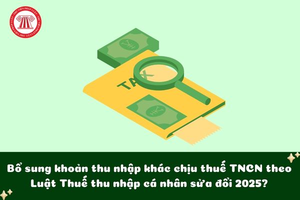 Pháp luật