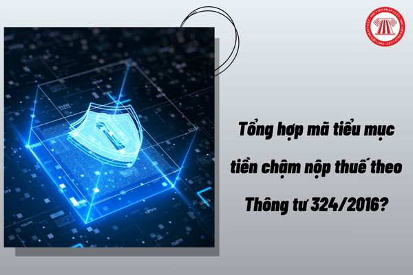 Pháp luật