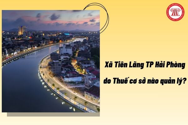 Pháp luật