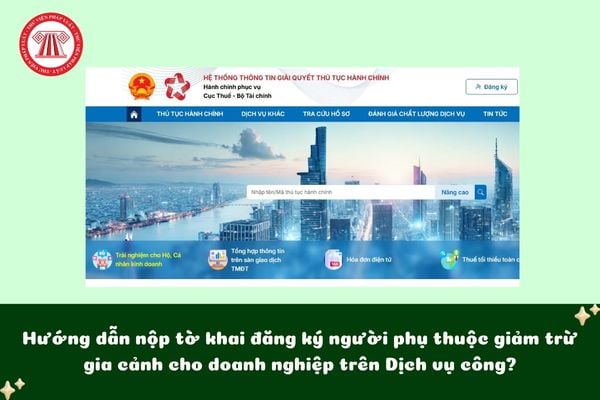 Pháp luật