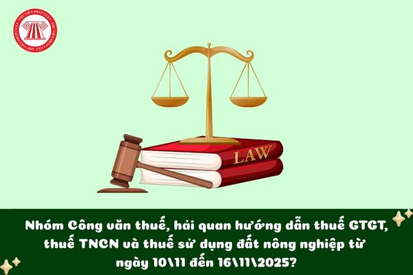 Pháp luật