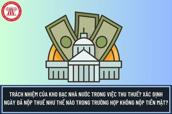 Pháp luật