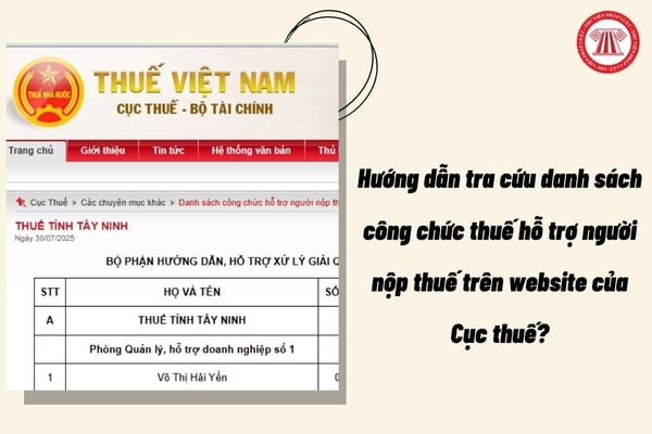 Pháp luật