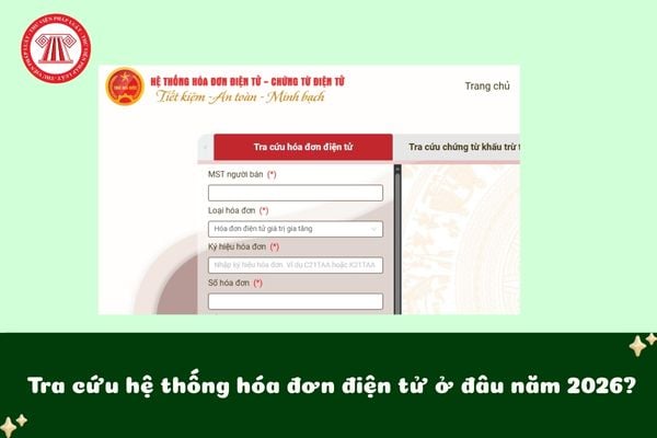 Pháp luật
