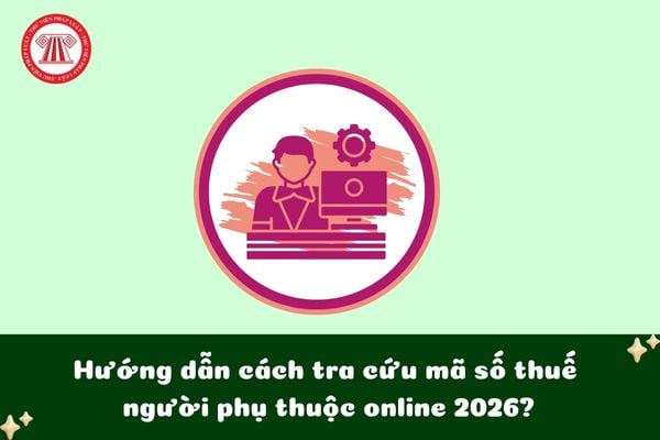 Hướng dẫn cách tra cứu mã số thuế người phụ thuộc online 2026?