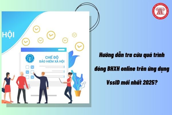 Pháp luật
