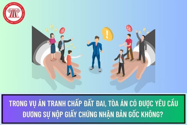 Pháp luật