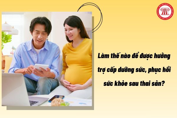 Pháp luật