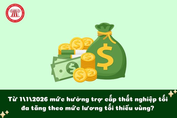 Pháp luật