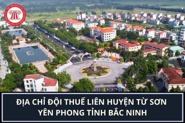 Pháp luật