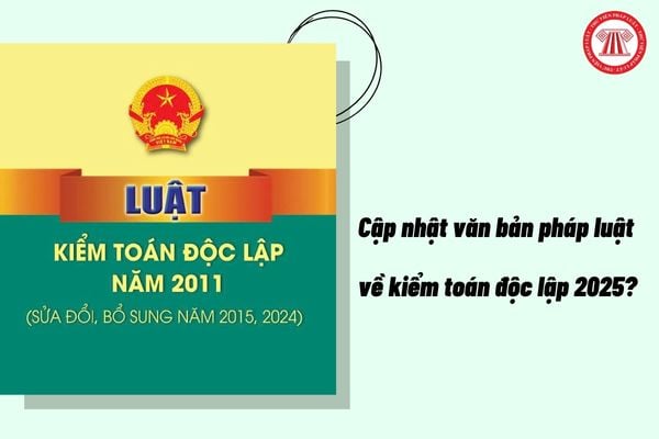 Pháp luật