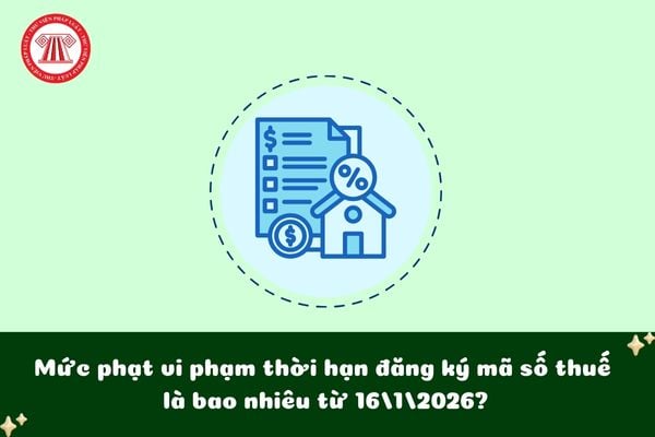 Pháp luật