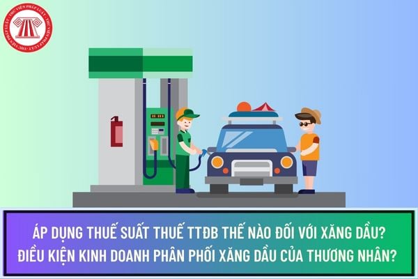 Pháp luật