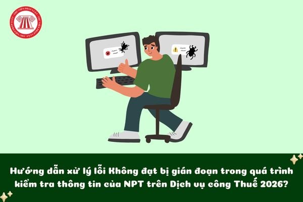Pháp luật