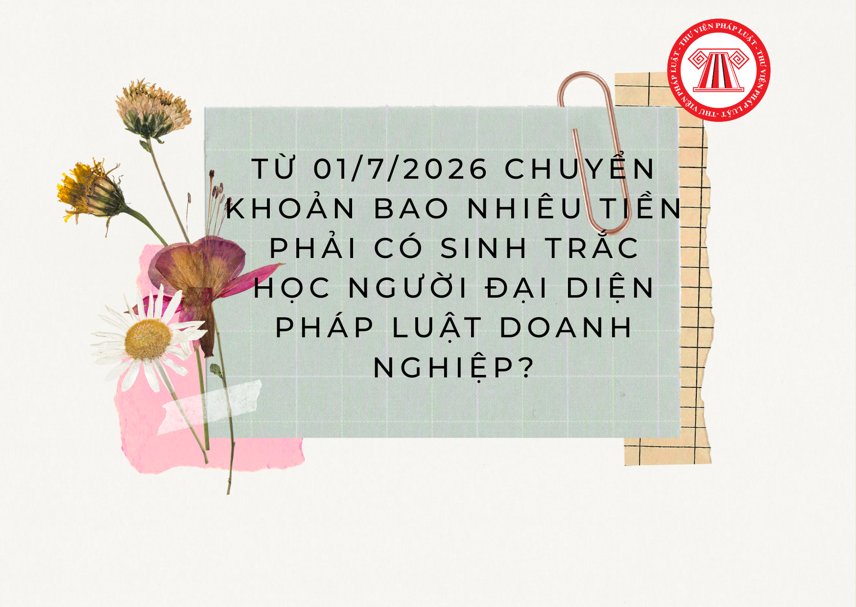 Pháp luật