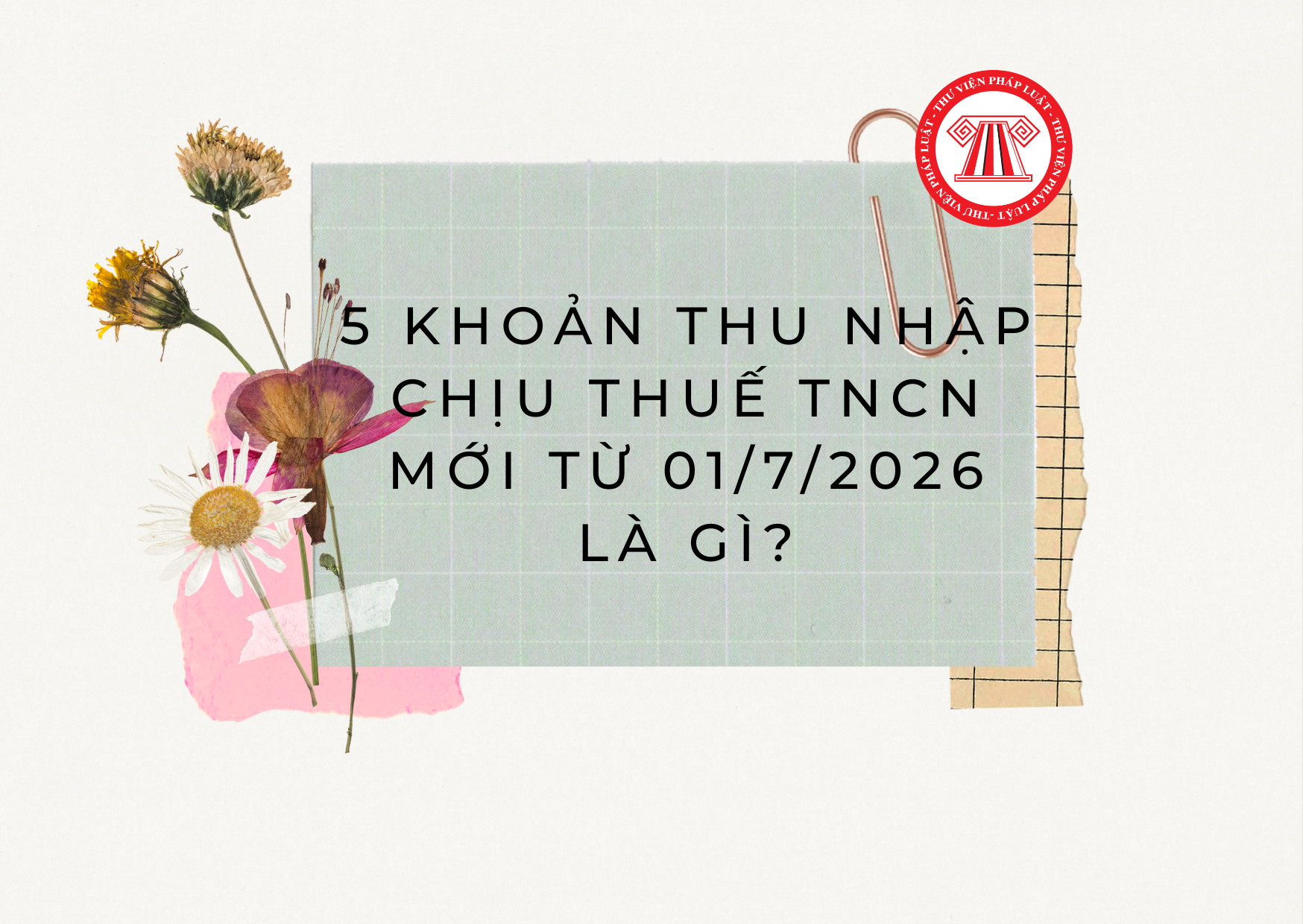 Pháp luật