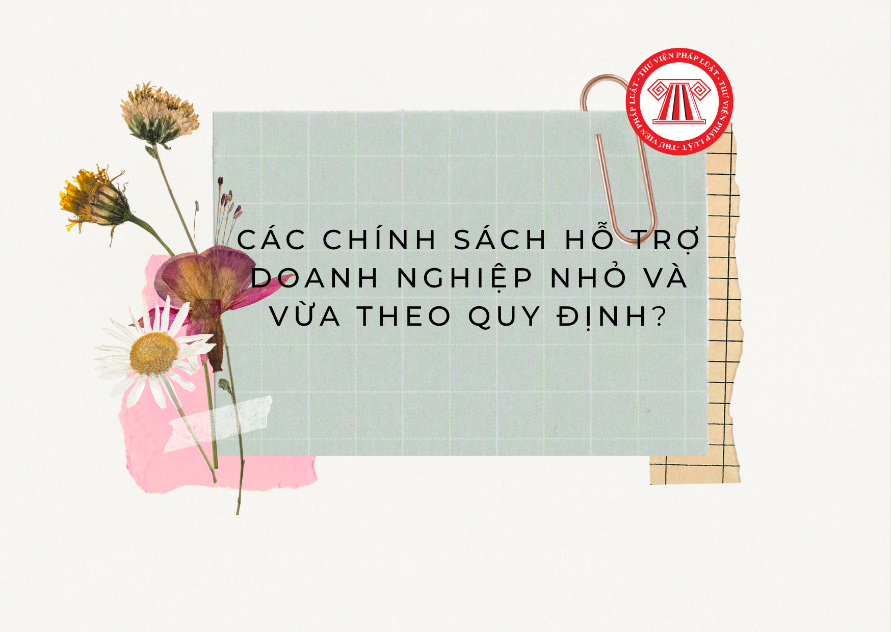 Pháp luật