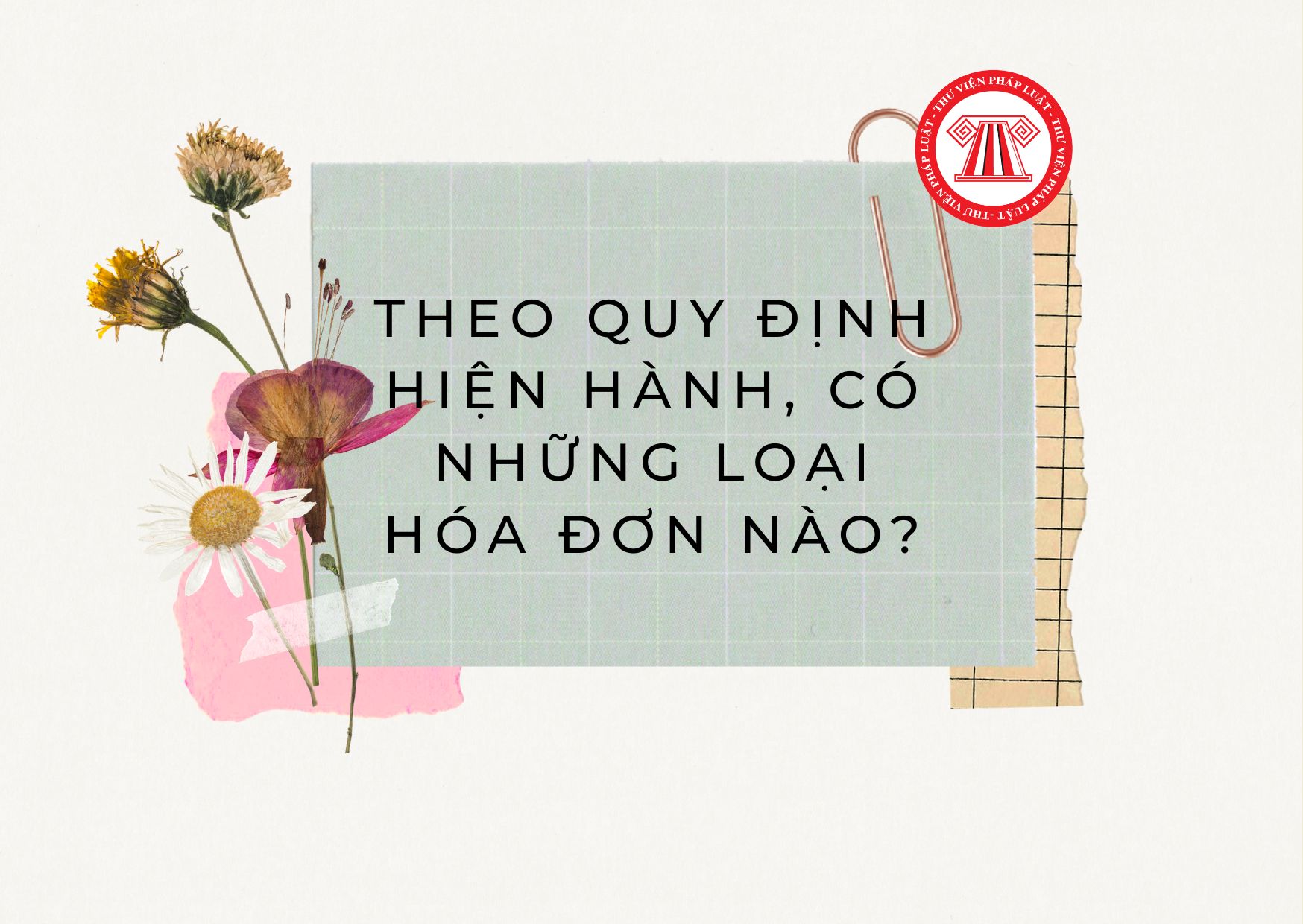 Pháp luật