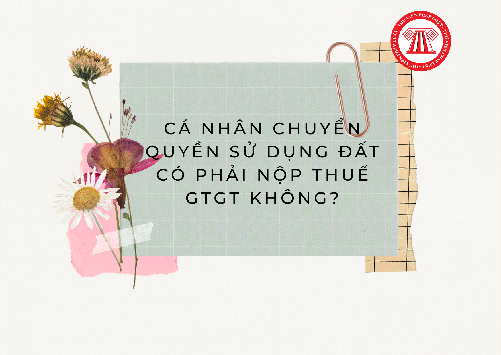 Pháp luật