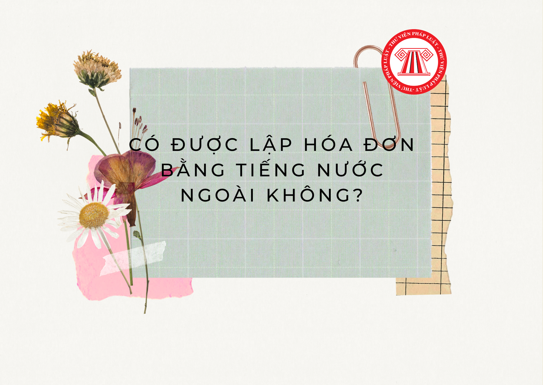 Pháp luật