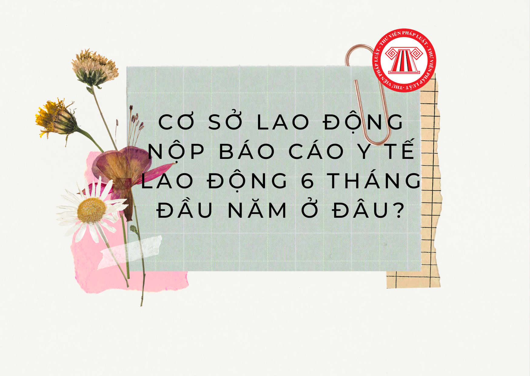 Pháp luật