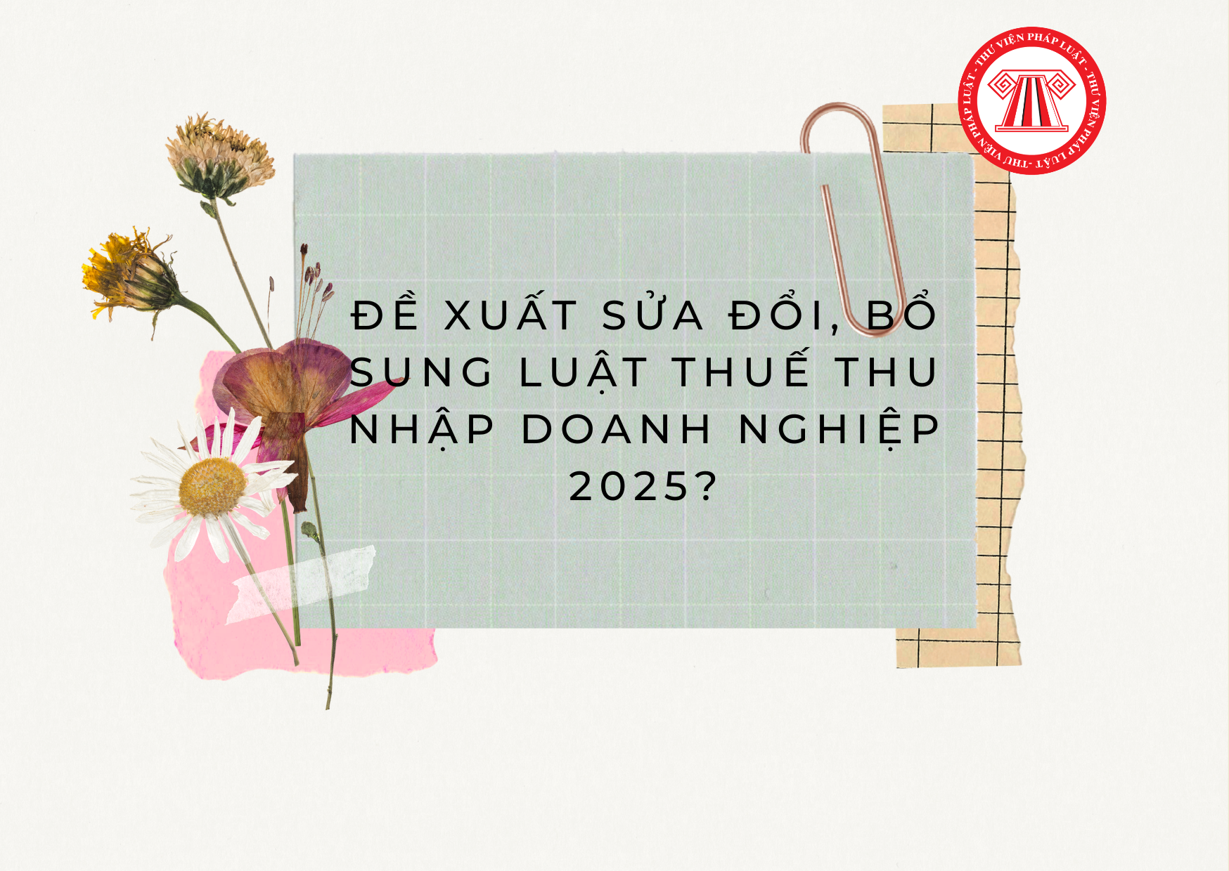 Pháp luật