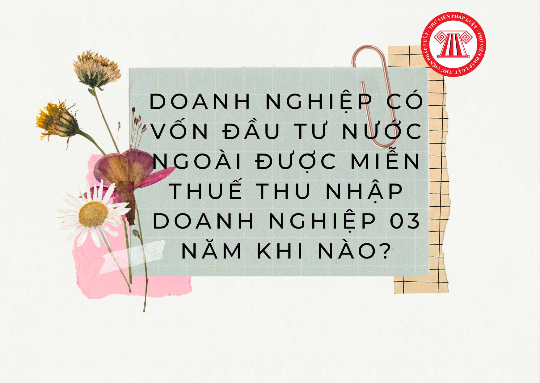 Pháp luật