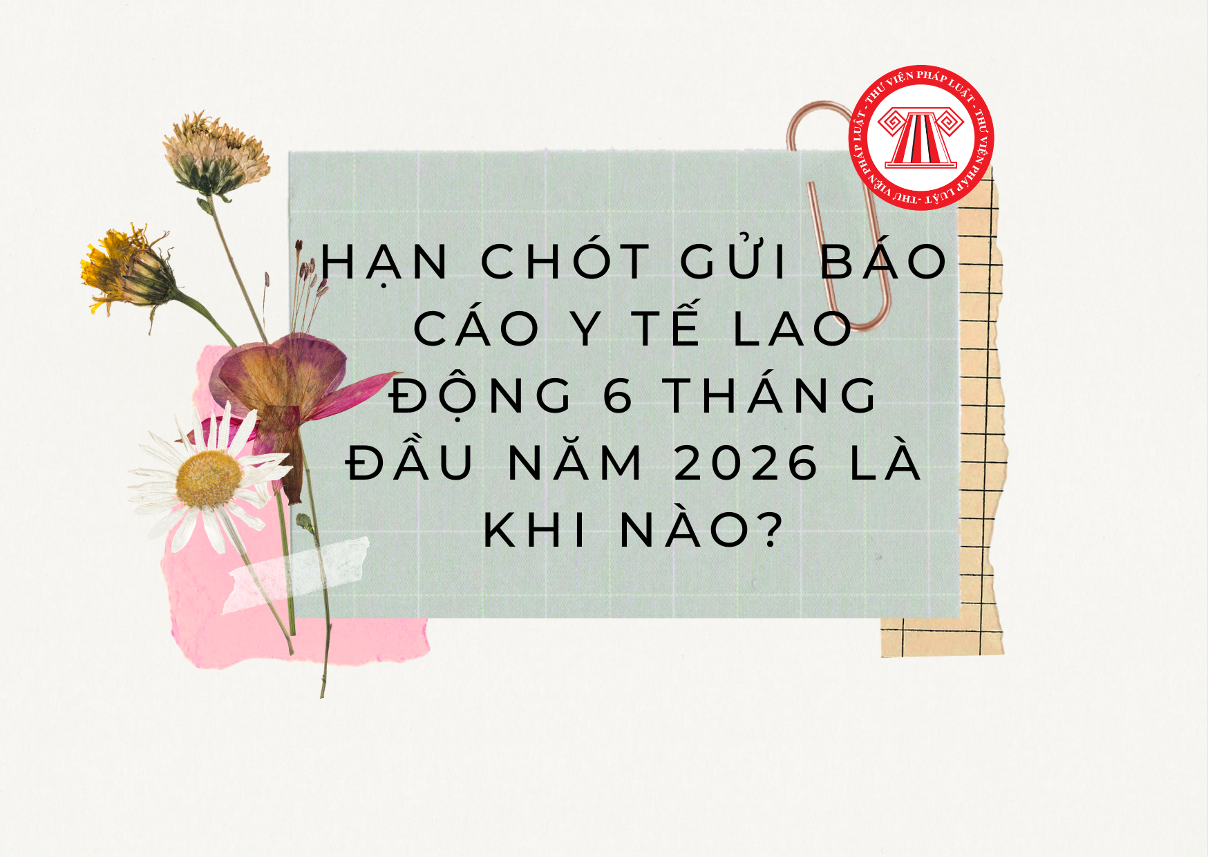 Pháp luật