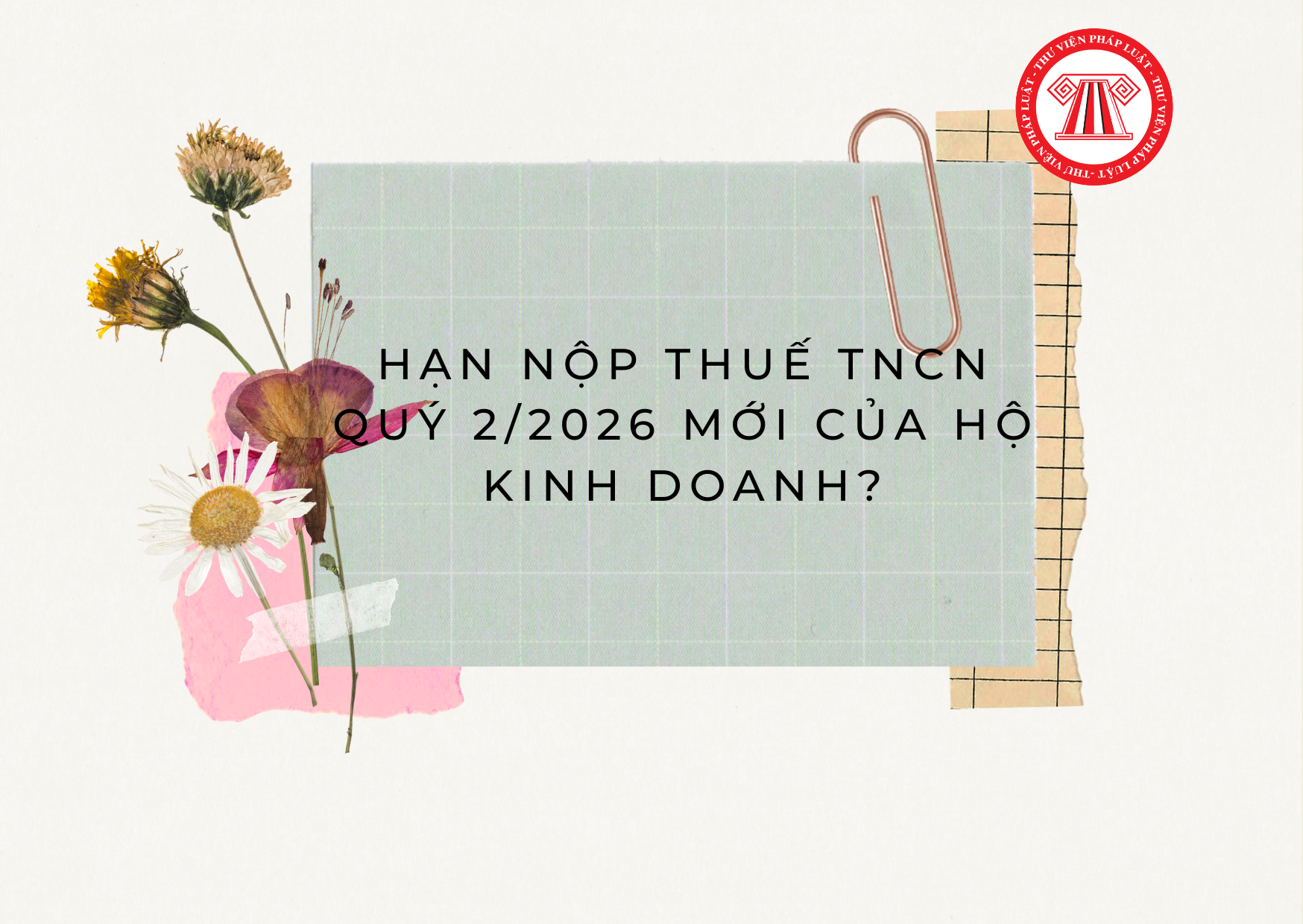Pháp luật