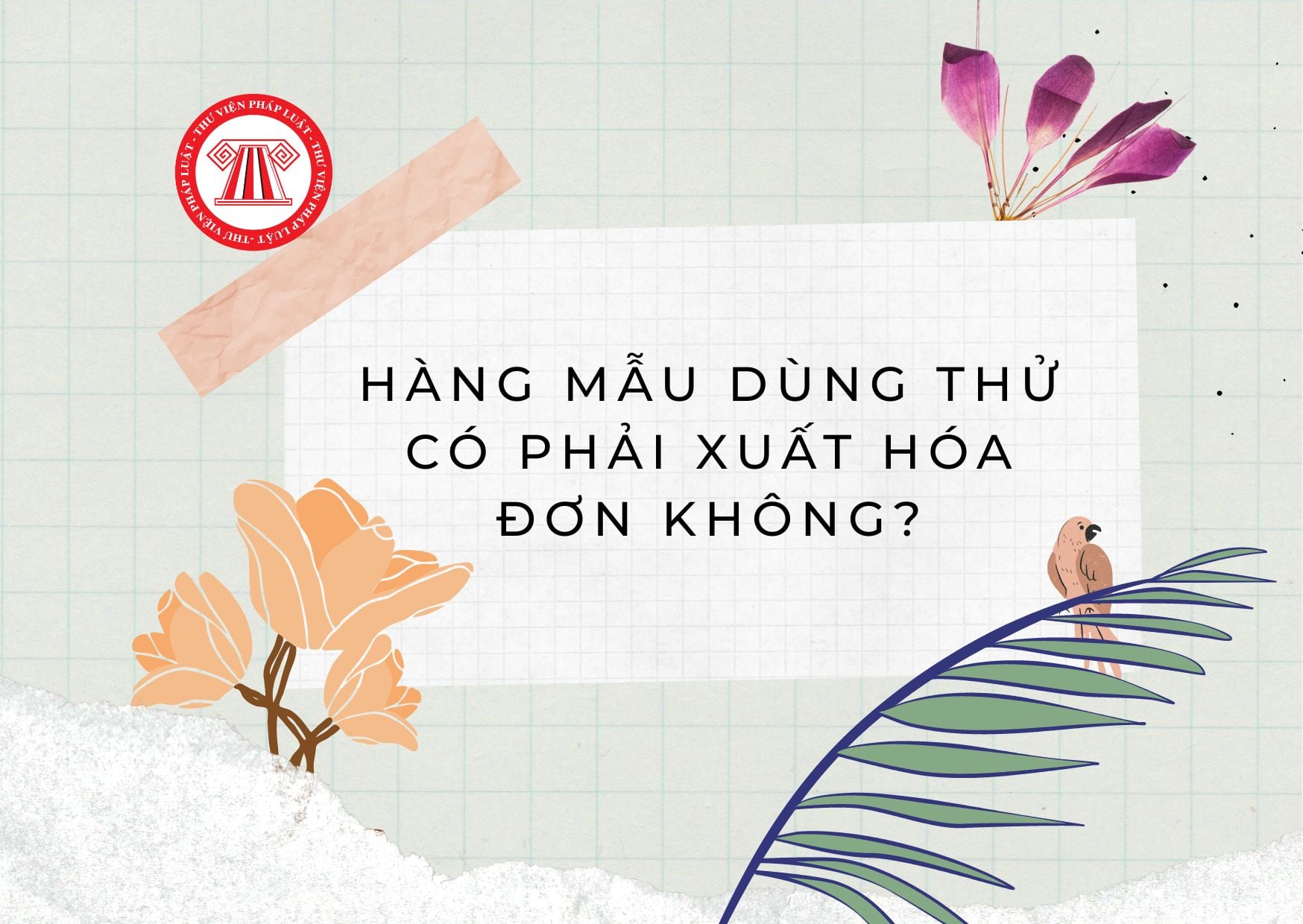 Pháp luật