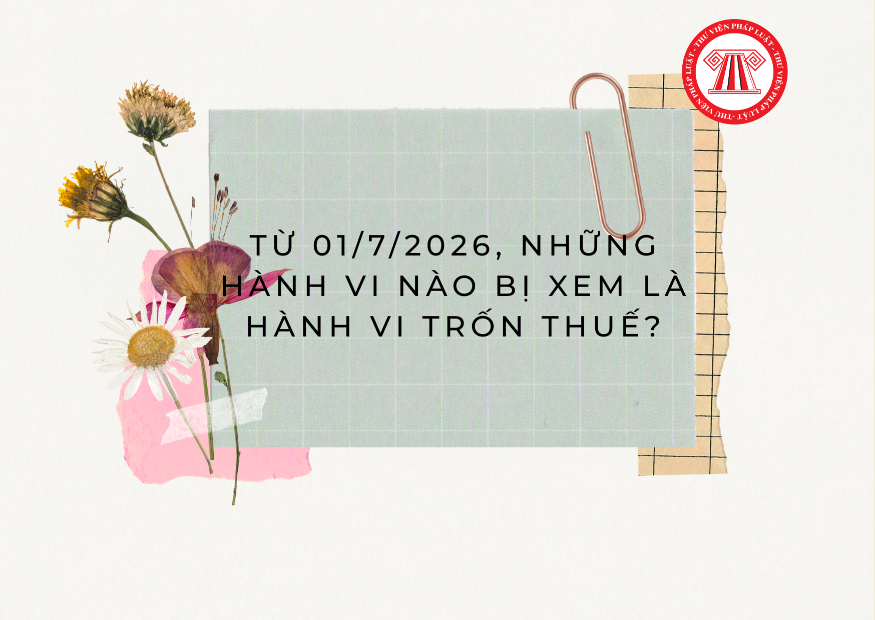 Pháp luật