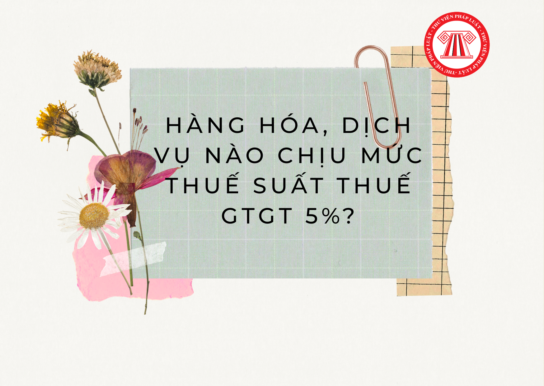 Pháp luật