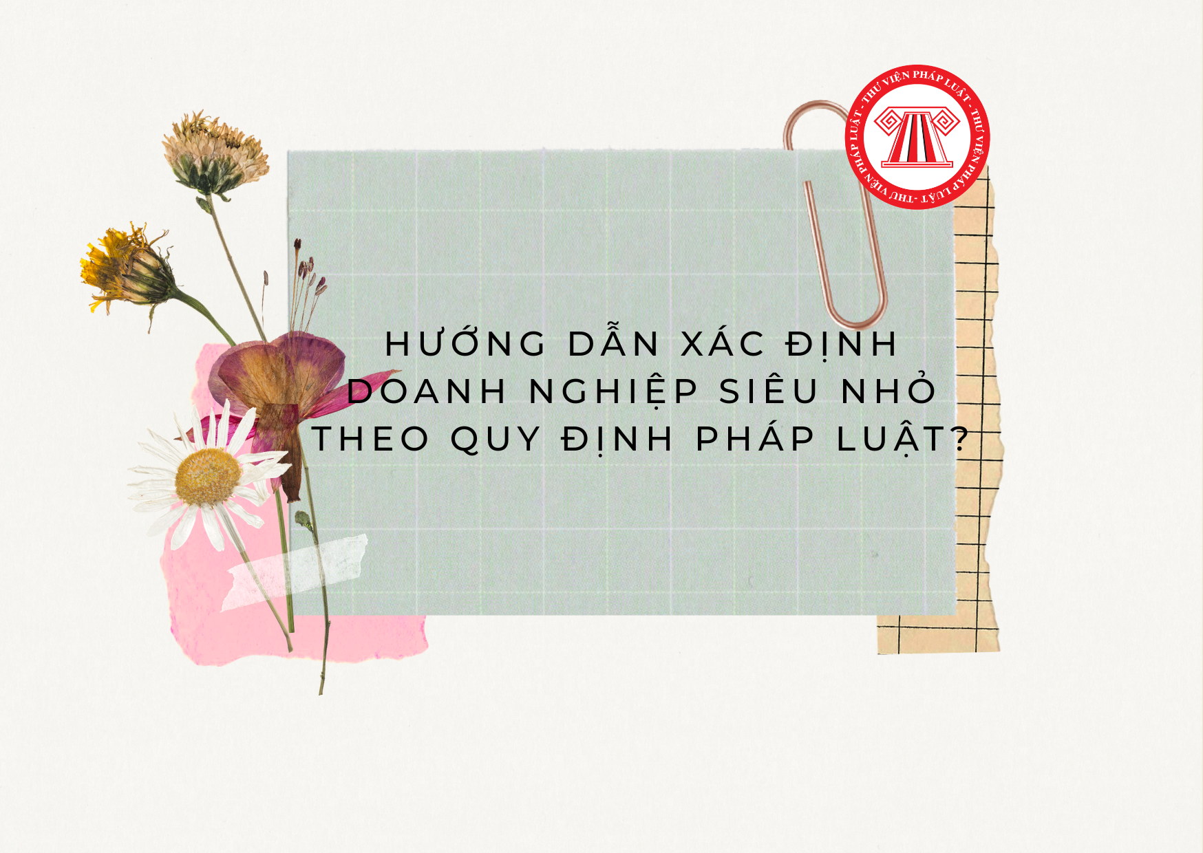 Pháp luật
