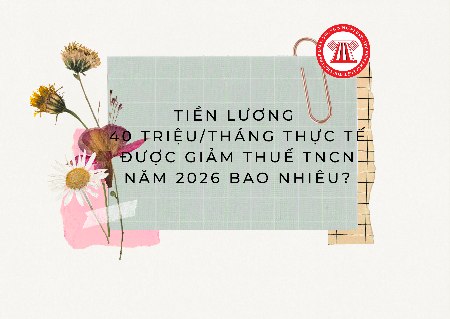 Pháp luật