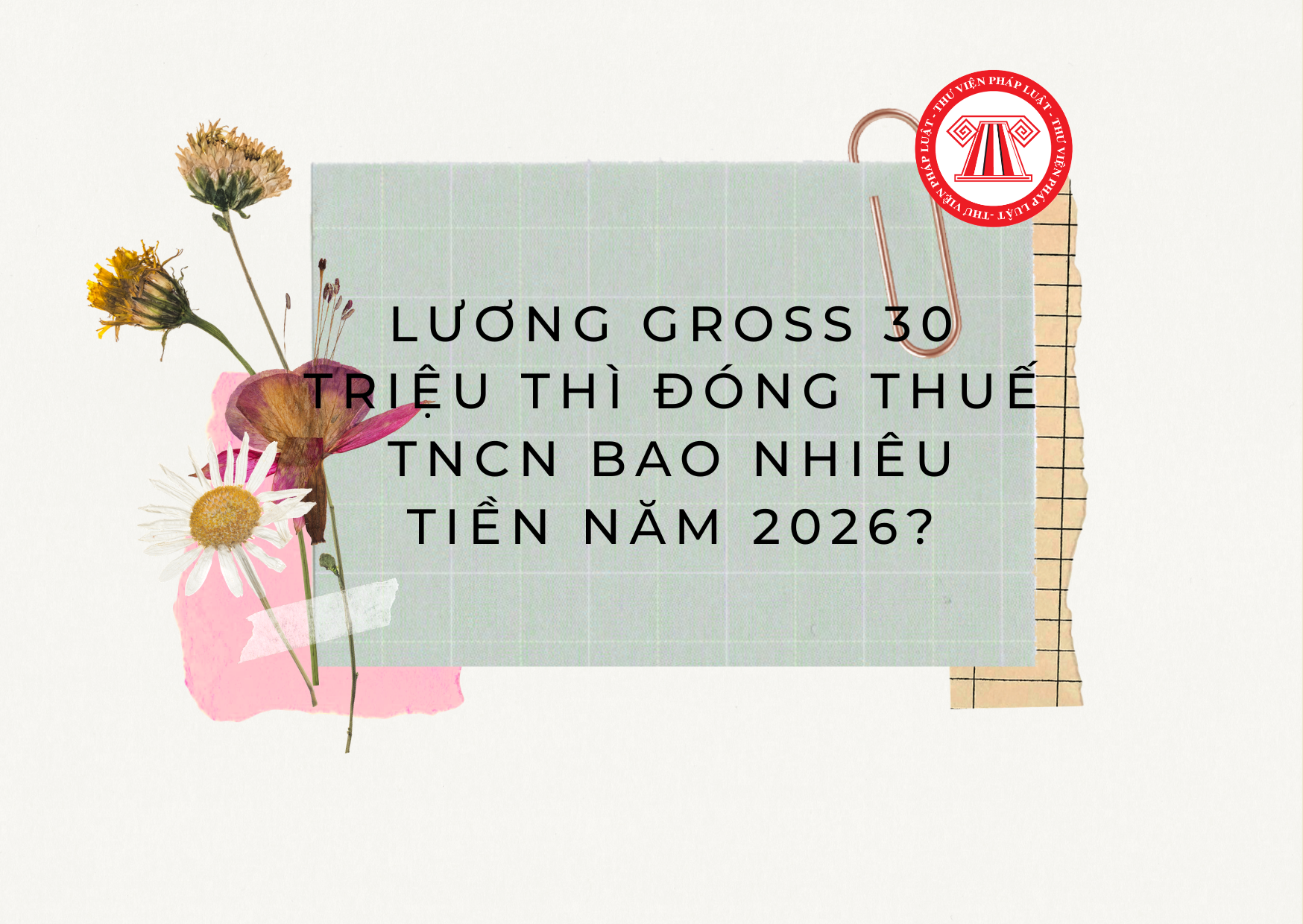 Pháp luật