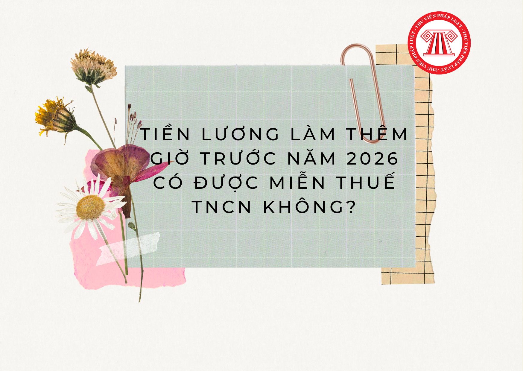 Pháp luật