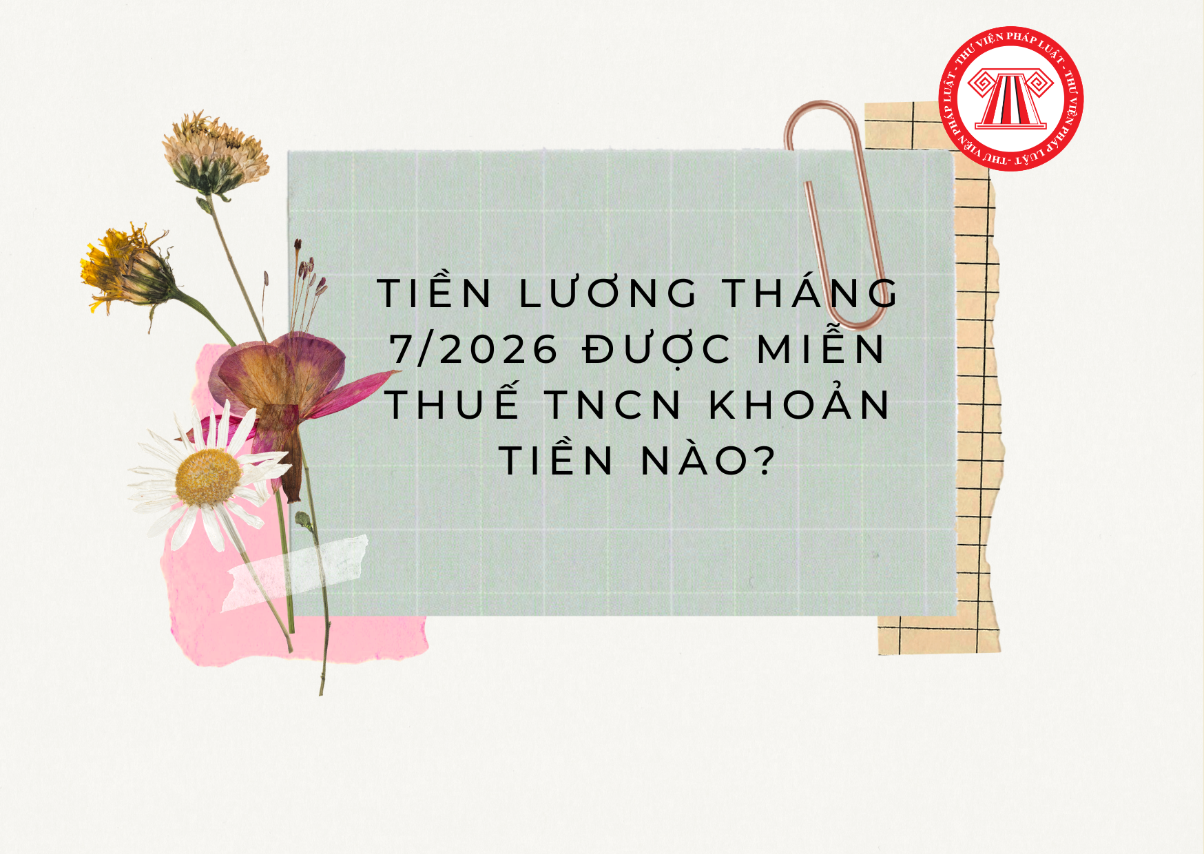 Pháp luật