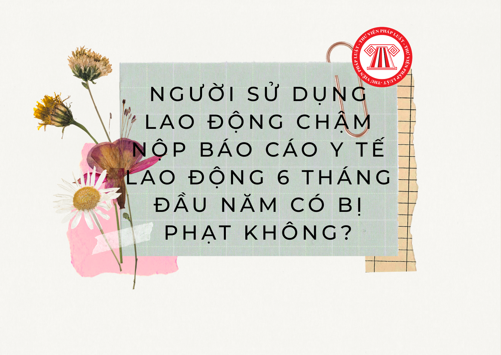 Pháp luật