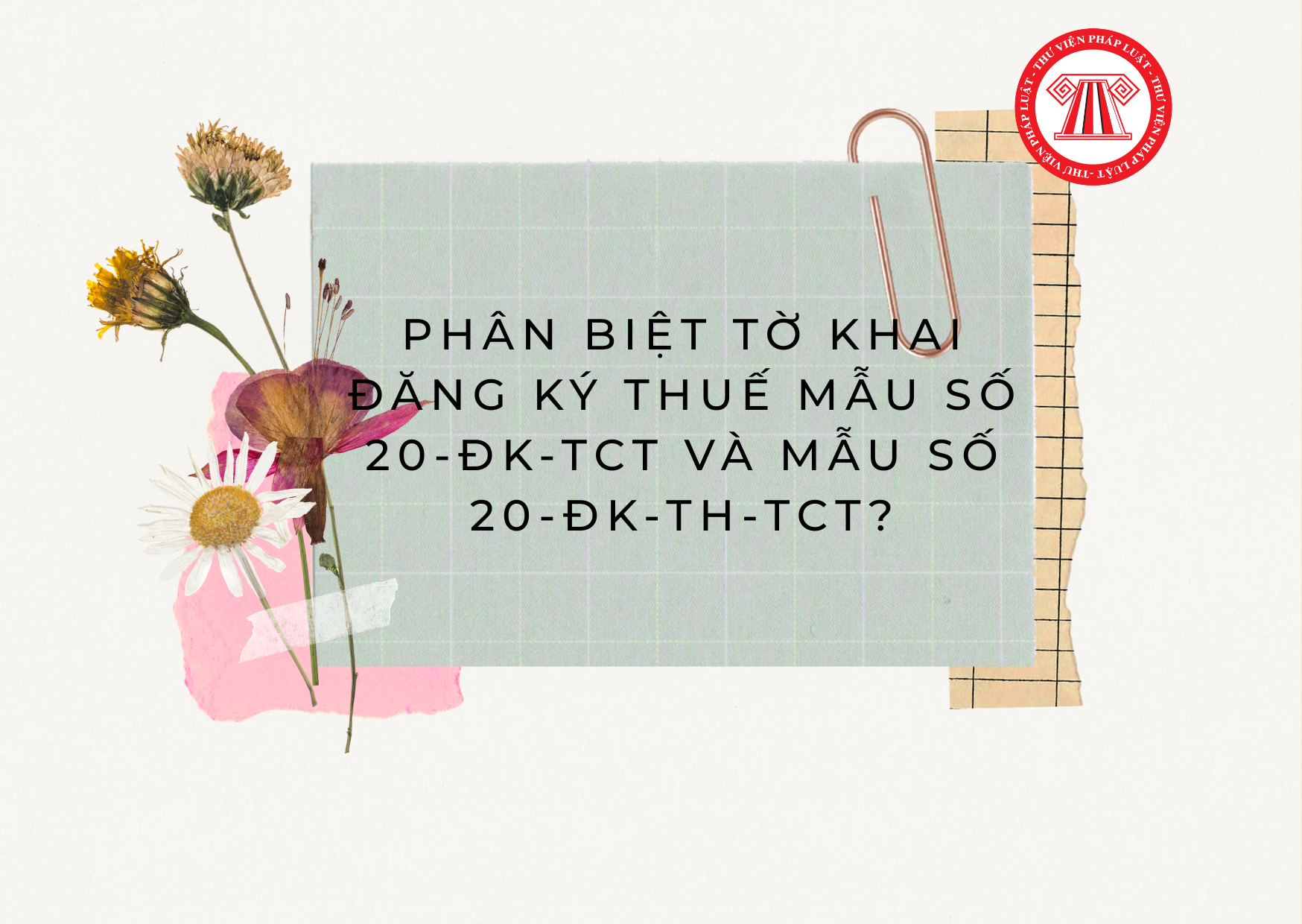 Pháp luật