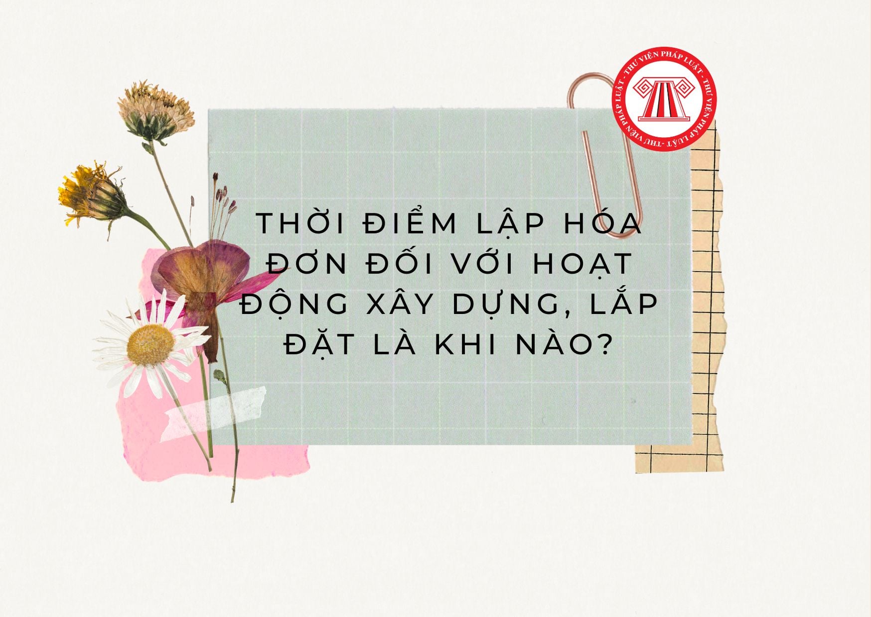 Pháp luật