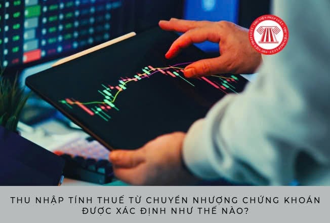Pháp luật