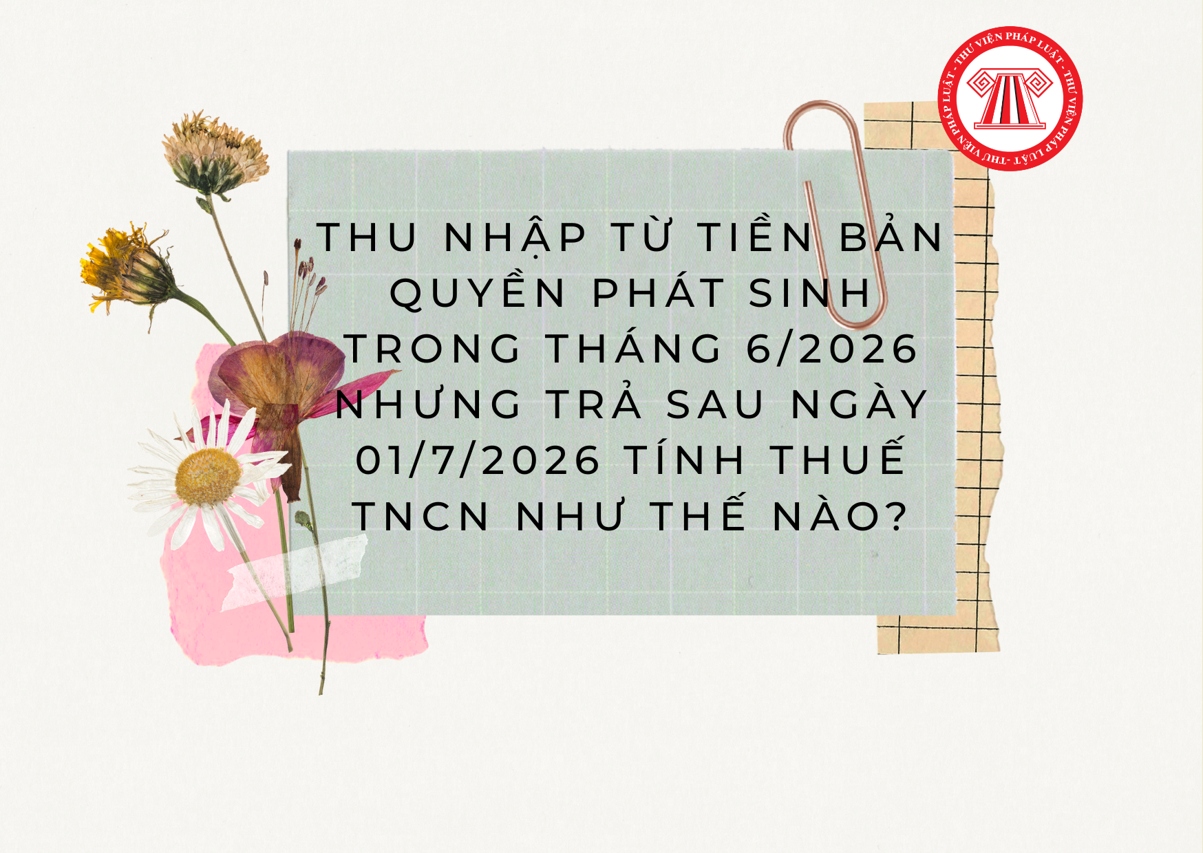 Pháp luật