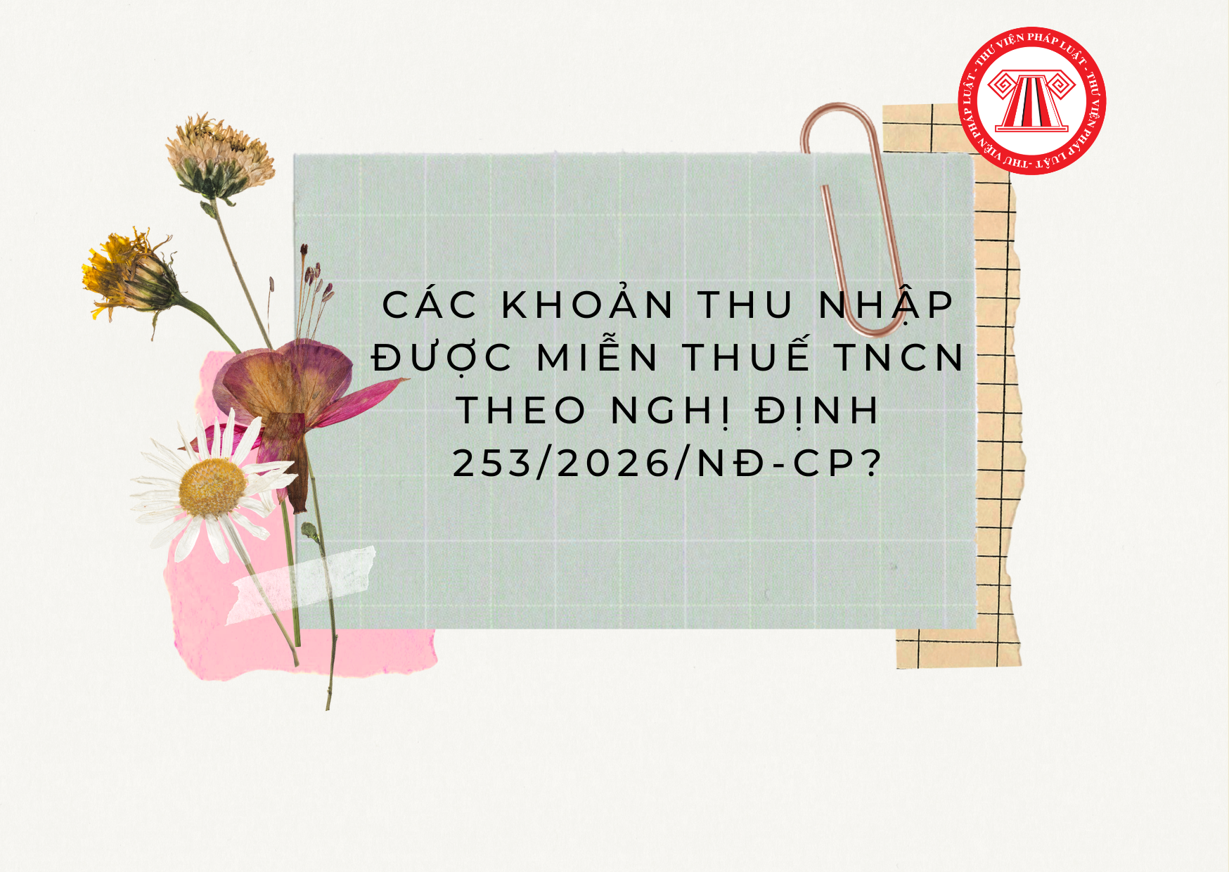 Pháp luật