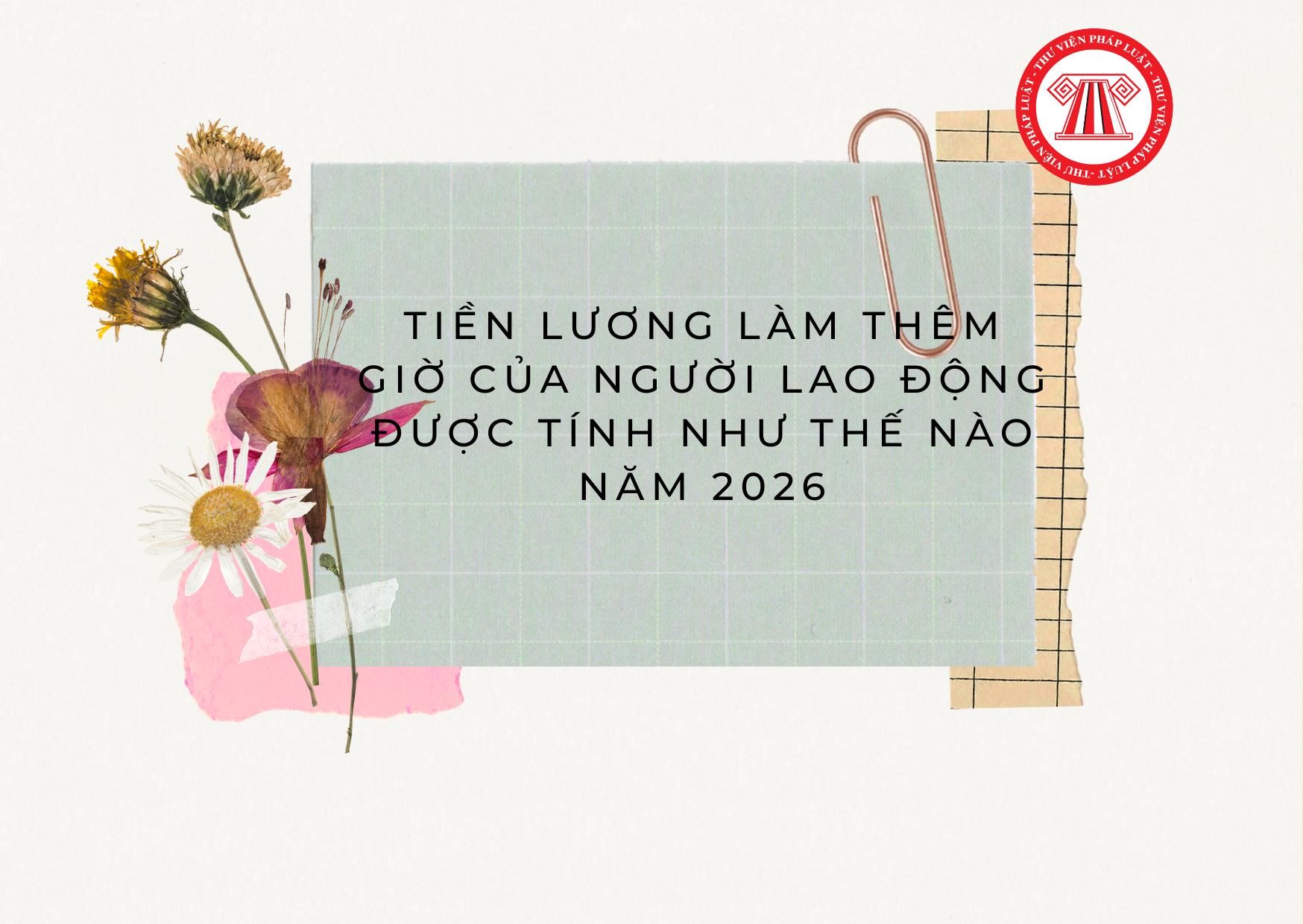 Pháp luật
