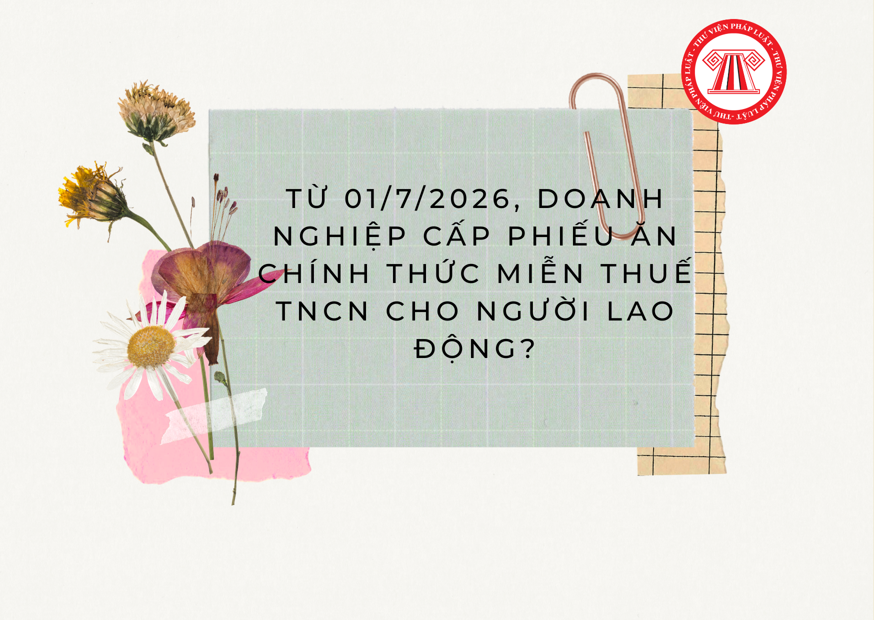 Pháp luật