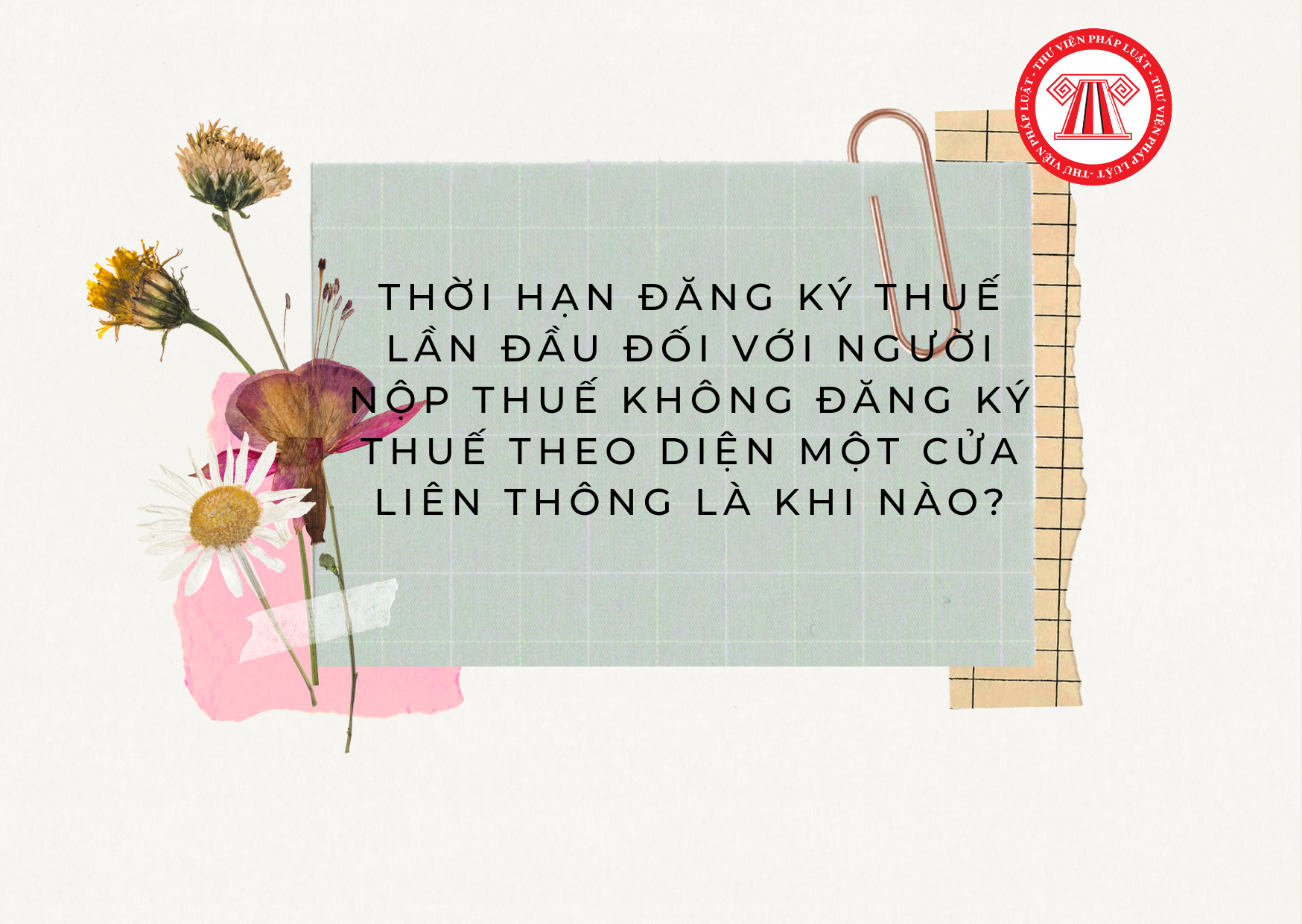 Pháp luật